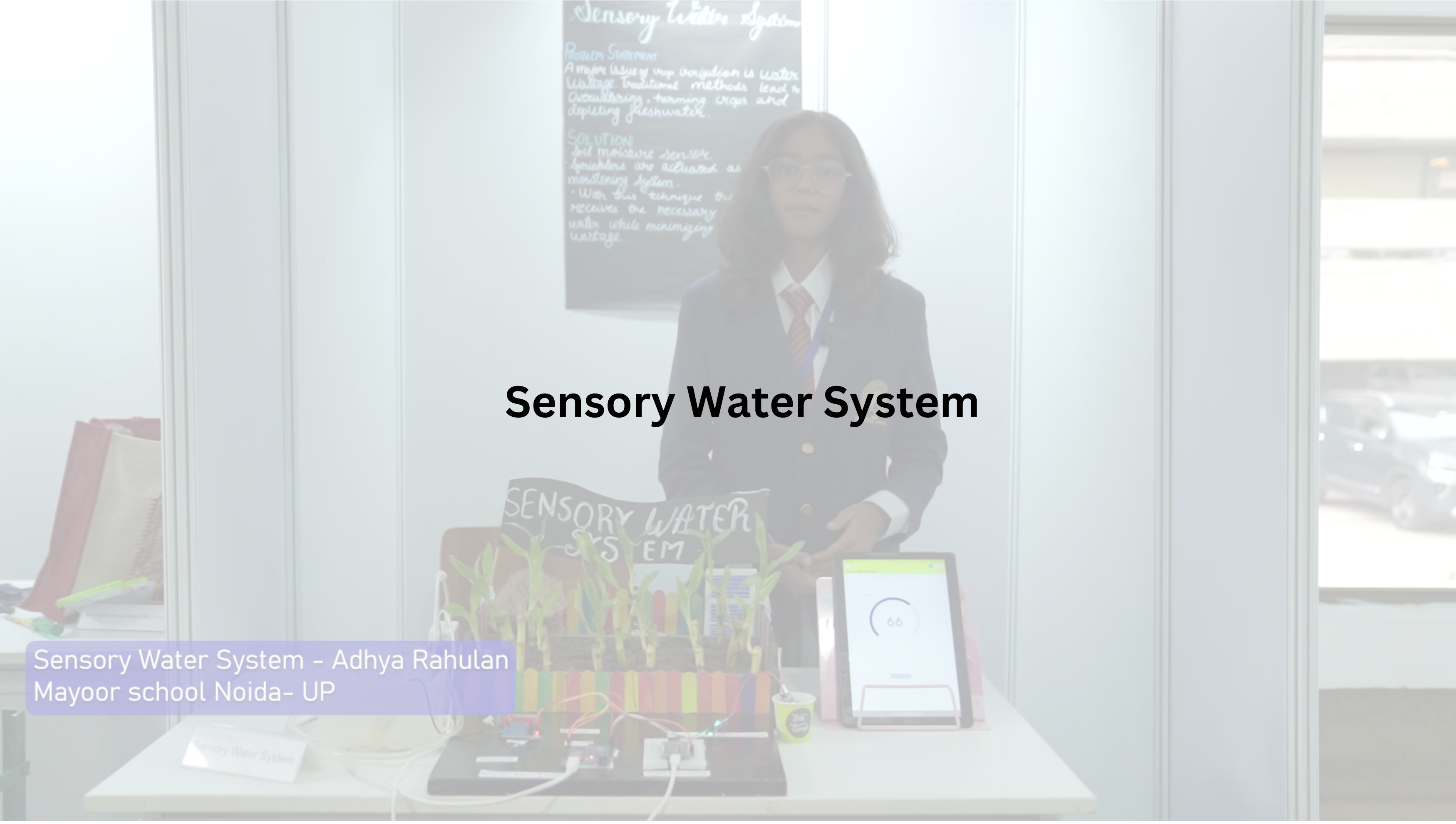 Sensory Water System