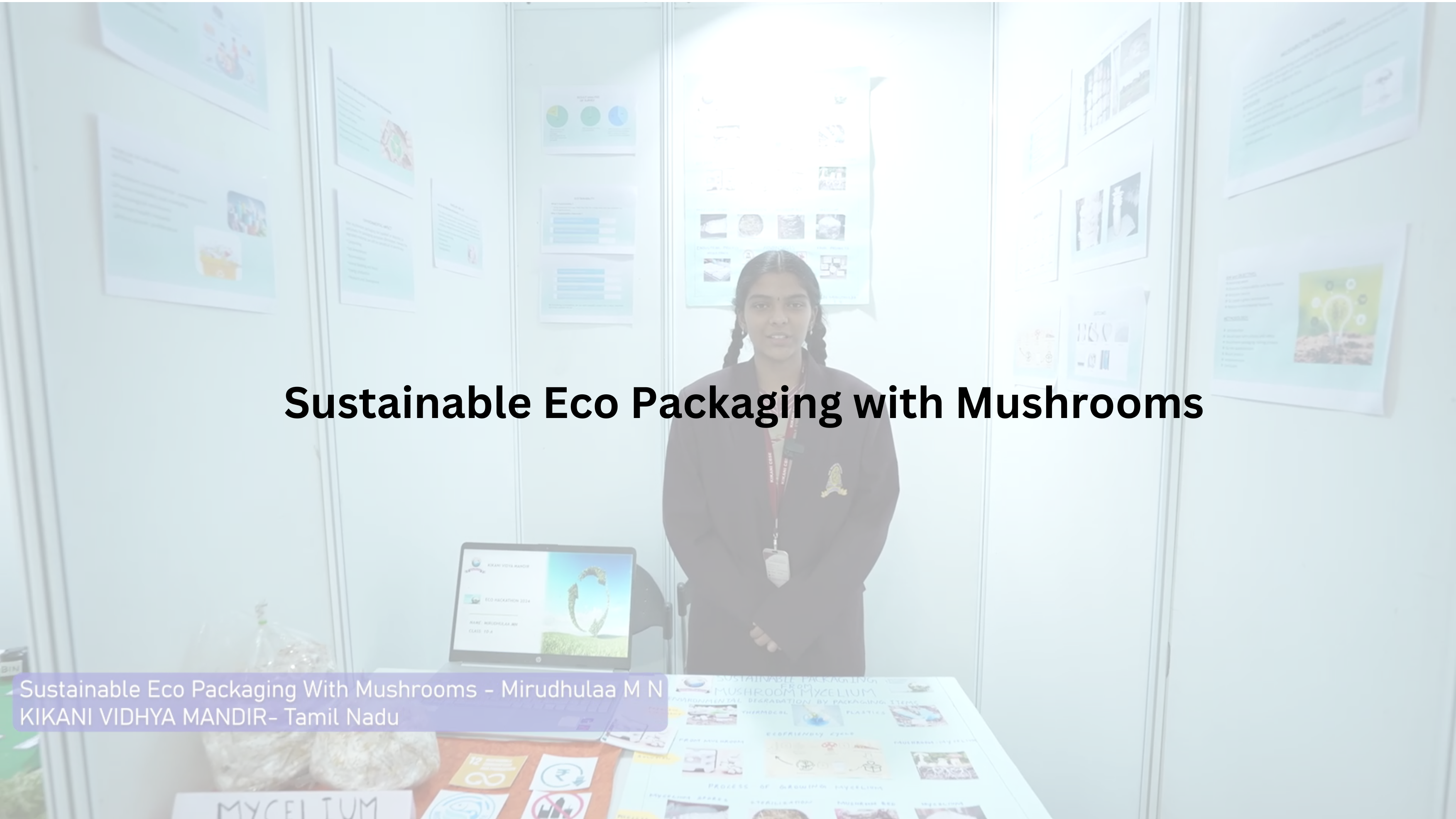  Sustainable Eco Packaging with Mushrooms