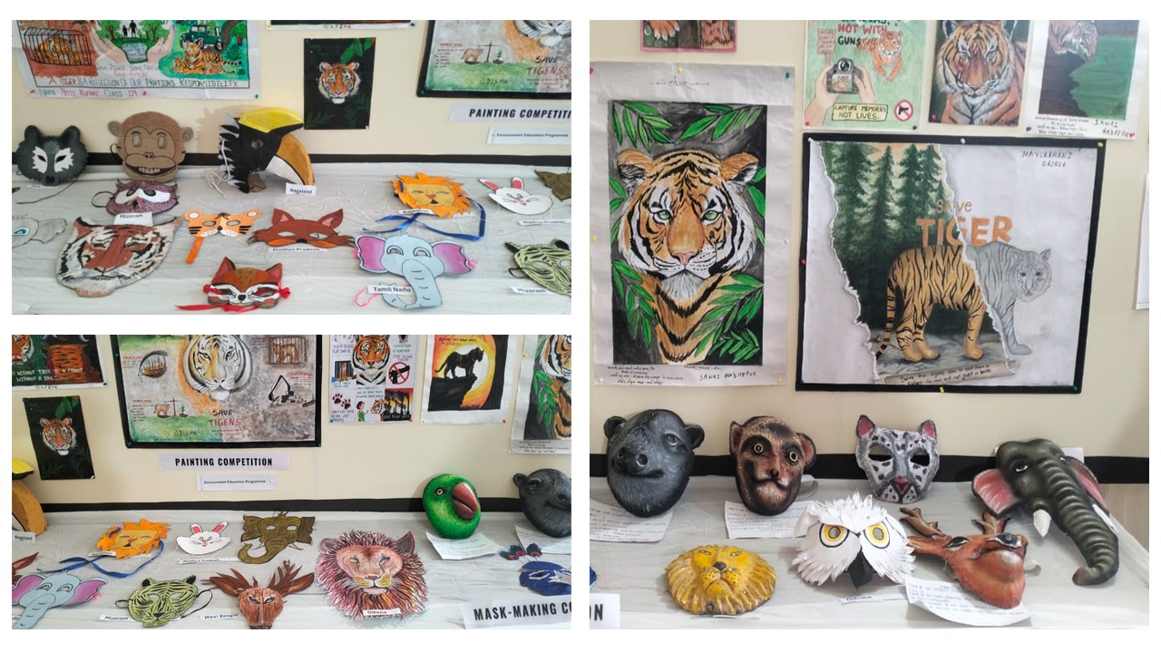 Detailed View of Student Paintings and Handcrafted Wildlife Masks Across States